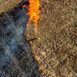 January 2020 (The Wilds)